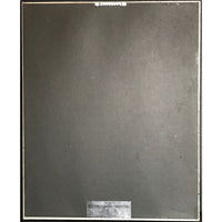 Georgia Satellites debut RIAA Gold Album Award Record Award