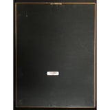 Gloria Estefan Christmas Through Your Eyes RIAA Gold Album Award - Record Award