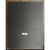 Grammy 1996 Nominees RIAA Gold Album Award - Record Award