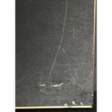 Grammy 1996 Nominees RIAA Gold Album Award - Record Award