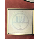 Grammy 2005 Nominees RIAA Gold Album Award presented to Prince - RARE - Record Award