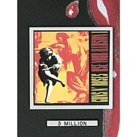 Guns N’ Roses Use Your Illusion I & II RIAA 3x Multi Platinum Award Record Award
