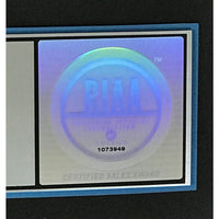 Hole Celebrity Skin RIAA Platinum Album Award - Record Award