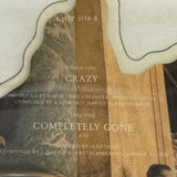 Icehouse ’Crazy’ 7’ Picture Disc 1987 Import Vinyl - Media