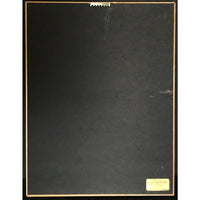Intro debut RIAA Gold Album Award - Record Award