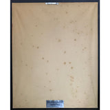 Jackyl self-titled debut RIAA Gold Album Award - Record Award