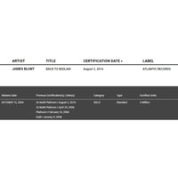 James Blunt Back To Bedlam RIAA Platinum Album Award - Record Award