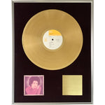 Janis Ian Greatest Hits 1970s CBS/Sony Records Award - Record Award