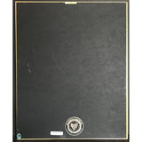 Jennifer Lopez J To Tha L-O! The Remixes RIAA Platinum Album Award - Record Award