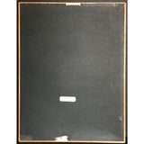 Jodeci Diary Of A Mad Band RIAA Platinum Album Award - Record Award