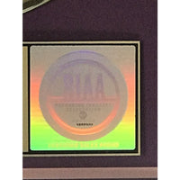 Joss Stone The Soul Sessions RIAA Gold Album Award - Record Award