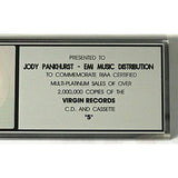 Lenny Kravitz 5 RIAA 2x Multi-Platinum Album Award - Record Award