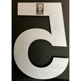 Lenny Kravitz 5 RIAA 2x Multi-Platinum Album Award - Record Award