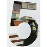 Lenny Kravitz 5 RIAA 2x Multi-Platinum Album Award - Record Award
