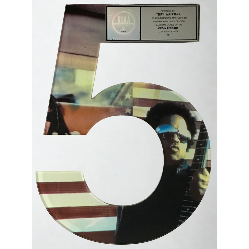 musicgoldmine.com - Lenny Kravitz 5 RIAA 2x Multi-Platinum Album
