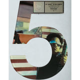 Lenny Kravitz 5 RIAA 2x Multi-Platinum Album Award - Record Award