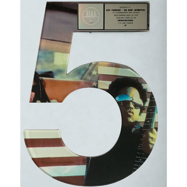 Lenny Kravitz 5 RIAA 2x Multi-Platinum Album Award - Record Award