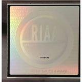 Lenny Kravitz 5 RIAA 2x Multi-Platinum Album Award - Record Award