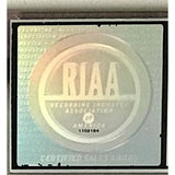 Lenny Kravitz 5 RIAA 2x Multi-Platinum Album Award - Record Award