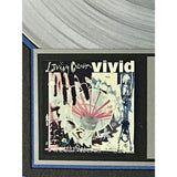 Living Colour Vivid RIAA Platinum Album Award - Record Award