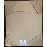 Los Lonely Boys debut RIAA Platinum Album Award - NEW sealed - Record Award