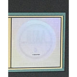 Lou Reed New York RIAA Gold Album Award - Record Award