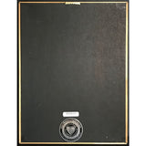Luther Vandross I Know RIAA Gold Album Award - Record Award