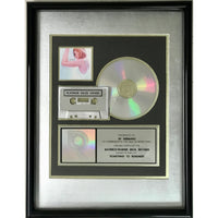 Madonna Something To Remember RIAA Platinum Album Award - Record Award