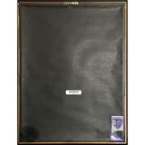 Mariah Carey & Boyz II Men ’One Sweet Day’ RIAA 2x Multi-Platinum Single Award - Record Award