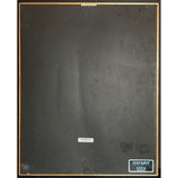 Mariah Carey debut RIAA Platinum Album Award - Record Award