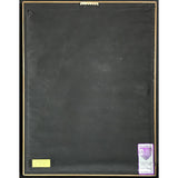 Mariah Carey Merry Christmas RIAA 3x Multi-Platinum Album Award - Record Award