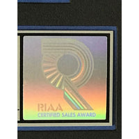 MC Hammer Please Hammer Don’t Hurt ’Em RIAA Platinum Album Award - Record Award