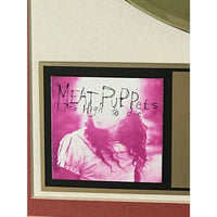 Meat Puppets Too High To Die RIAA Gold Album Award - Record Award