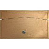 MIKA Life In Cartoon Motion 5M Sold Casablanca/Universal Album Award - Record Award