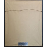 Nelson After The Rain RIAA Gold Album Award - Record Award