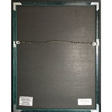 Nelson After The Rain RIAA Platinum Album Award signed by the Nelson brothers - Record Award