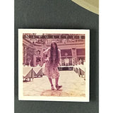 Nicolette Larson Nicolette RIAA Gold Album Award - Record Award