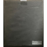 Night Ranger 7 Wishes RIAA Platinum LP Award presented to/signed by Tommy Lee - Record Award