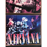Nirvana MTV Unplugged Geffen Records Award - Record Award
