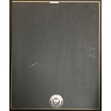 Now 10 RIAA 2x Multi-Platinum Album Award - Record Award