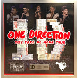One Direction 2013 ’Take Me Home’ Tour Award - Record Award