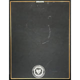 Outkast Stankonia RIAA 3x Multi-Platinum Album Award - Record Award