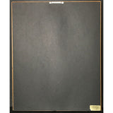 Ozzy Osbourne Bark At The Moon RIAA Platinum Album Award - Record Award