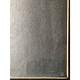 Ozzy Osbourne The Ultimate Sin RIAA Platinum Album Award - Record Award