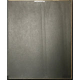 Ozzy Osbourne The Ultimate Sin RIAA Platinum Album Award - Record Award