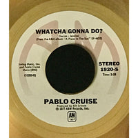 Pablo Cruise ’Whatcha Gonna Do?’ 1977 A&M Records Award - Record Award