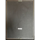 Paul Simon 1964/1993 RIAA Gold Album Award - Record Award