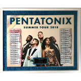 Pentatonix 2018 Summer Tour Award - Record Award