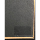 Pink Floyd Dark Side Of The Moon RIAA Platinum Album Award - Record Award