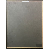 Pink Floyd Dark Side Of The Moon RIAA Platinum Album Award - Record Award